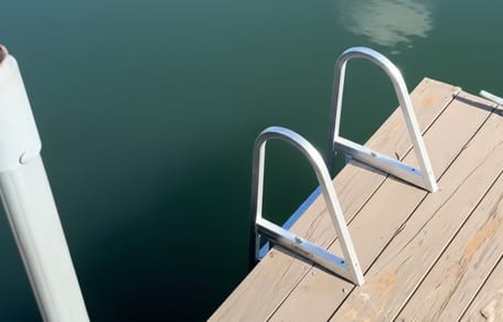 An animal needing help on a pontoon