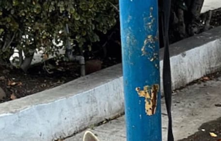 palo in strada