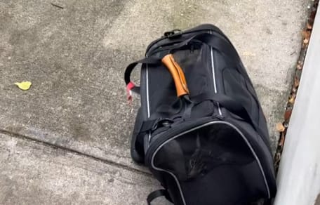 Een achtergelaten reismand voor een asiel