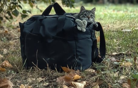 Eine schwarze Reisetasche