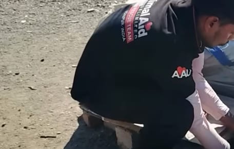 Un sauveteur de chiens