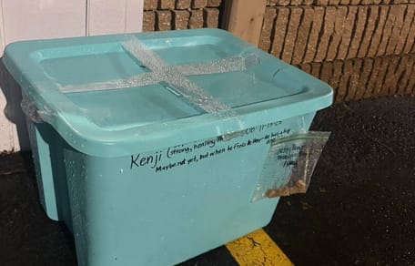 A sealed box abandoned outdoors