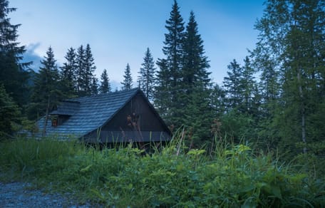 A cabin in the forest