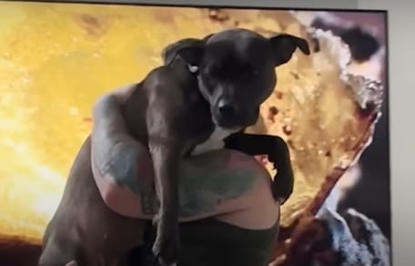 Une chienne dans les bras de sa famille d'accueil