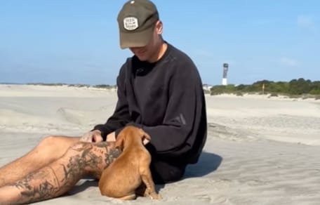 Une chienne découvre la plage