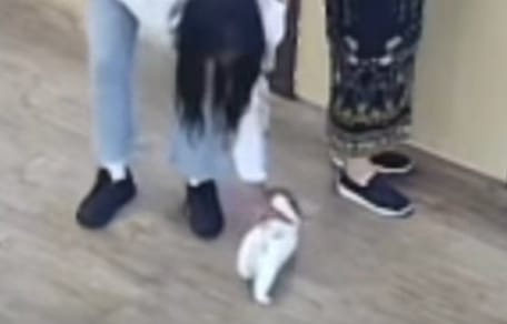 Een vrouw die een puppy steelt