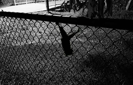 A small creature alone in a dog park