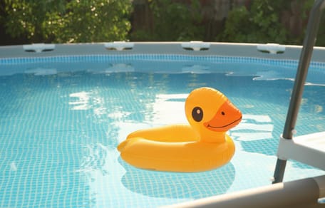 Immersi in piscina e ripescati con un retino: sei gattini e la loro mamma salvati dalla SPA