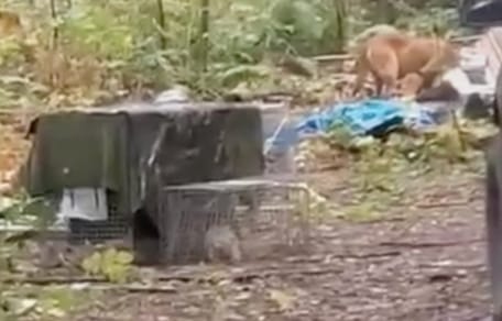 Une vieille caravane abandonnée