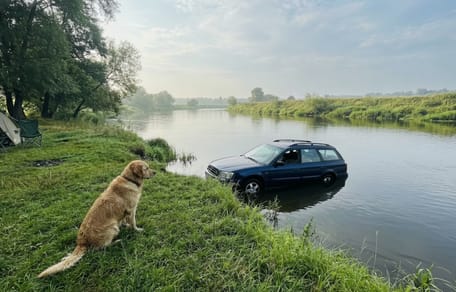 Een auto die in het water is beland met een hond op de voorgrond