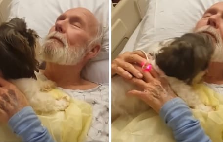 Älterer Mann im Krankenhaus umarmt Hund