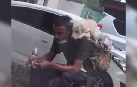 Mann mit Hund auf den Schultern