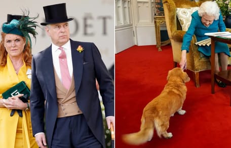 ¿Le van a quitar los corgis a Andrés?