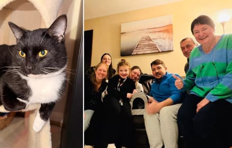 Vermiste kat na 5 maanden terug bij Engels gezin