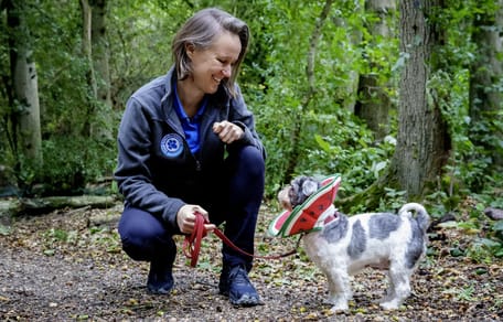 Verwaarloosde hond Emma knapt eindelijk weer op na tragisch verhaal