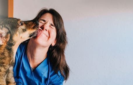 Vétérinaire soigne un chien