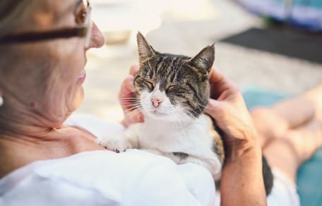 vieille dame et chat