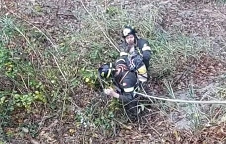 Bomberos rescatan a un perro de una garganta