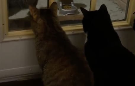 Besucher vor dem Haus