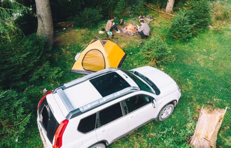 Family sets off on road trip and discovers surprise stowaway along the way