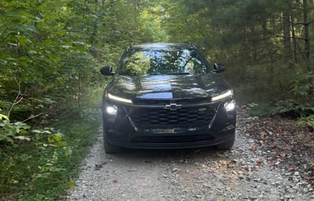 Auto nel bosco