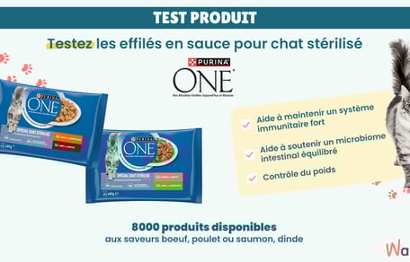 🐾 Votre chat mérite le meilleur ! Testez gratuitement Purina One Chat – Effilés en sauce spécial chat stérilisé 😻
