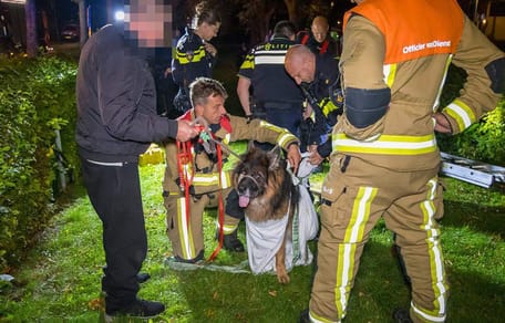 Vrouw en hond vallen 's nachts in put in Vijfhuizen