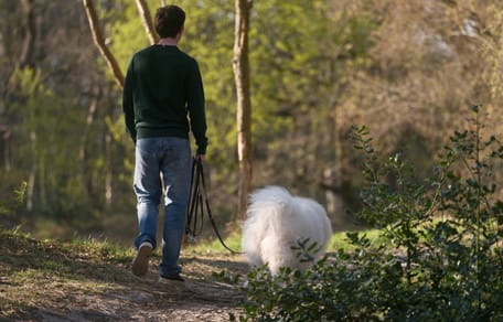 Waarschuwing om je hond aan de lijn te houden tijdens het broedseizoen
