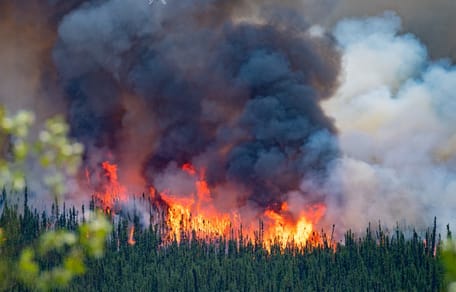 Waldbrand in Kanada
