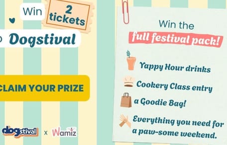 Wamiz Dogstival competition