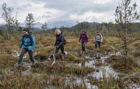 Wanderinnen im Moor