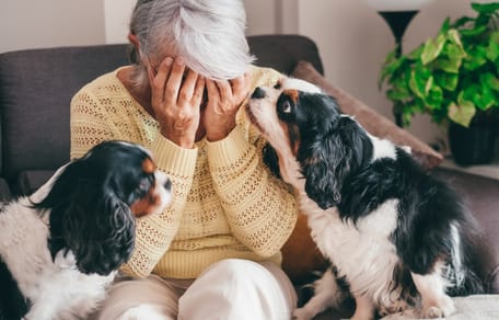 Weinende ältere Frau mit zwei Hunden
