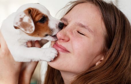 Welpe leckt Frau durchs Gesicht