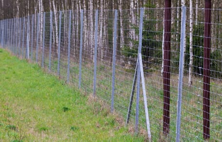 Wildzaun am Waldrand