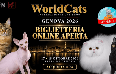 Worldcats a Genova