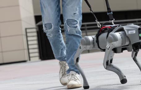 Zijn AI-geleidehonden de toekomst?