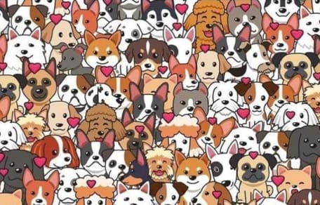 ¿Dónde está el gato? Solo el 5% de la gente lo encuentra entre todos estos perros