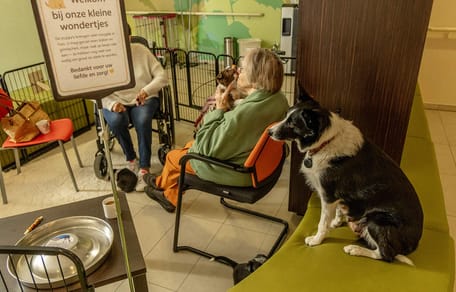 Zorghond Mia, haar pups en enkele bewoners die de pups helpen verzorgen