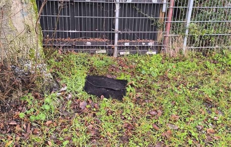 Zwei Automatten im Gras