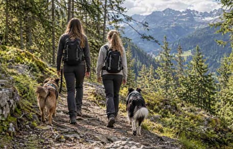 Zwei Mädchen mit Hunden in den Alpen