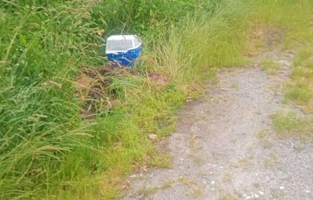 Zwei übereinander gestellte Plastikkörbe im Gras