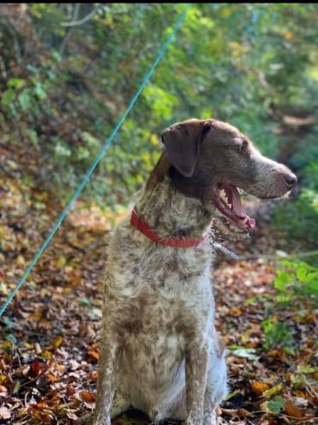 Rudi sucht zweite Chance