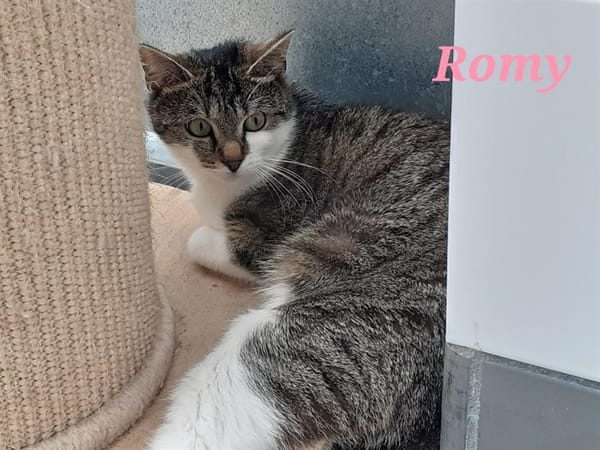 ROMY