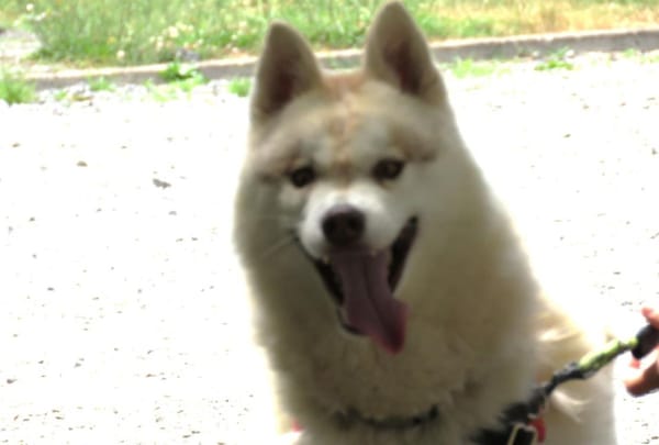 TSUKY