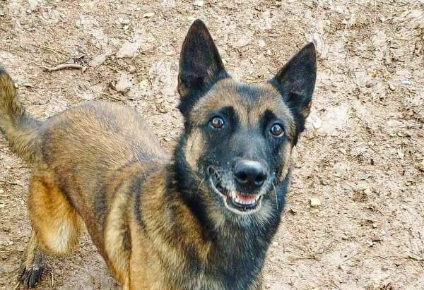 Mya