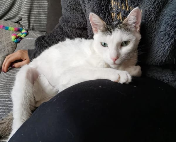 BLANCO (RESERVE)