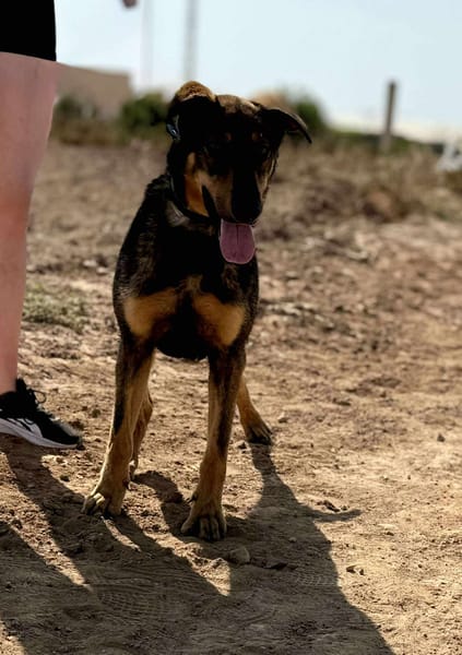 LUPO (Maria)