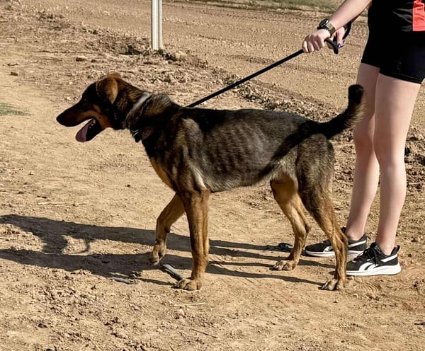 LUPO (Maria)