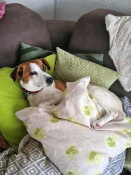 CYNTHIA: Lieb und sehr menschenbezogen