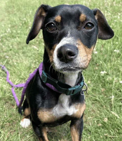 Minnie